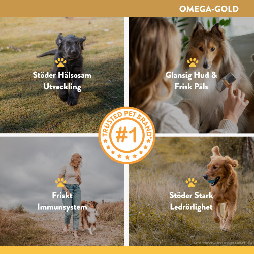 Omega Gold™