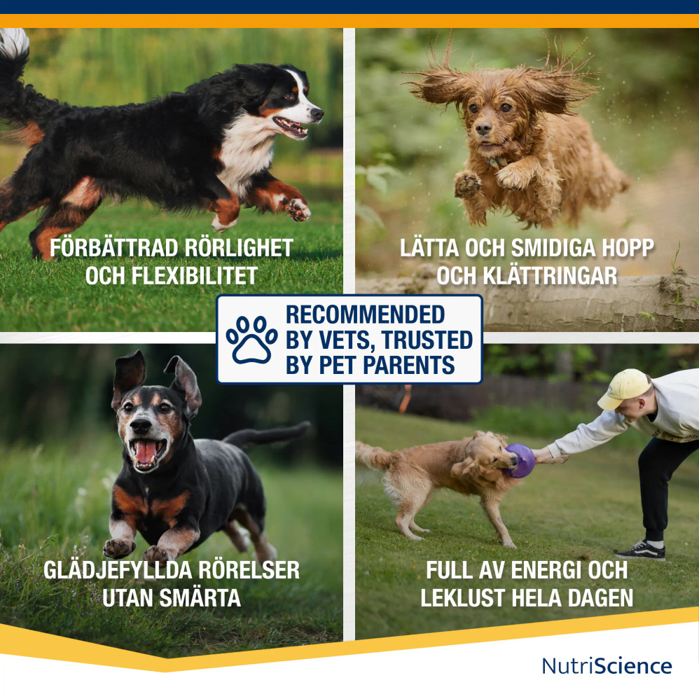 Arthri Aid Omega, Hund Arthri Aid Omega, Hund