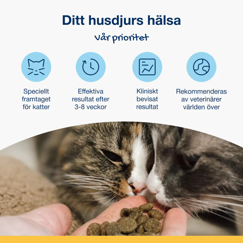 Dental Bites - Veggie Flavor, Katt