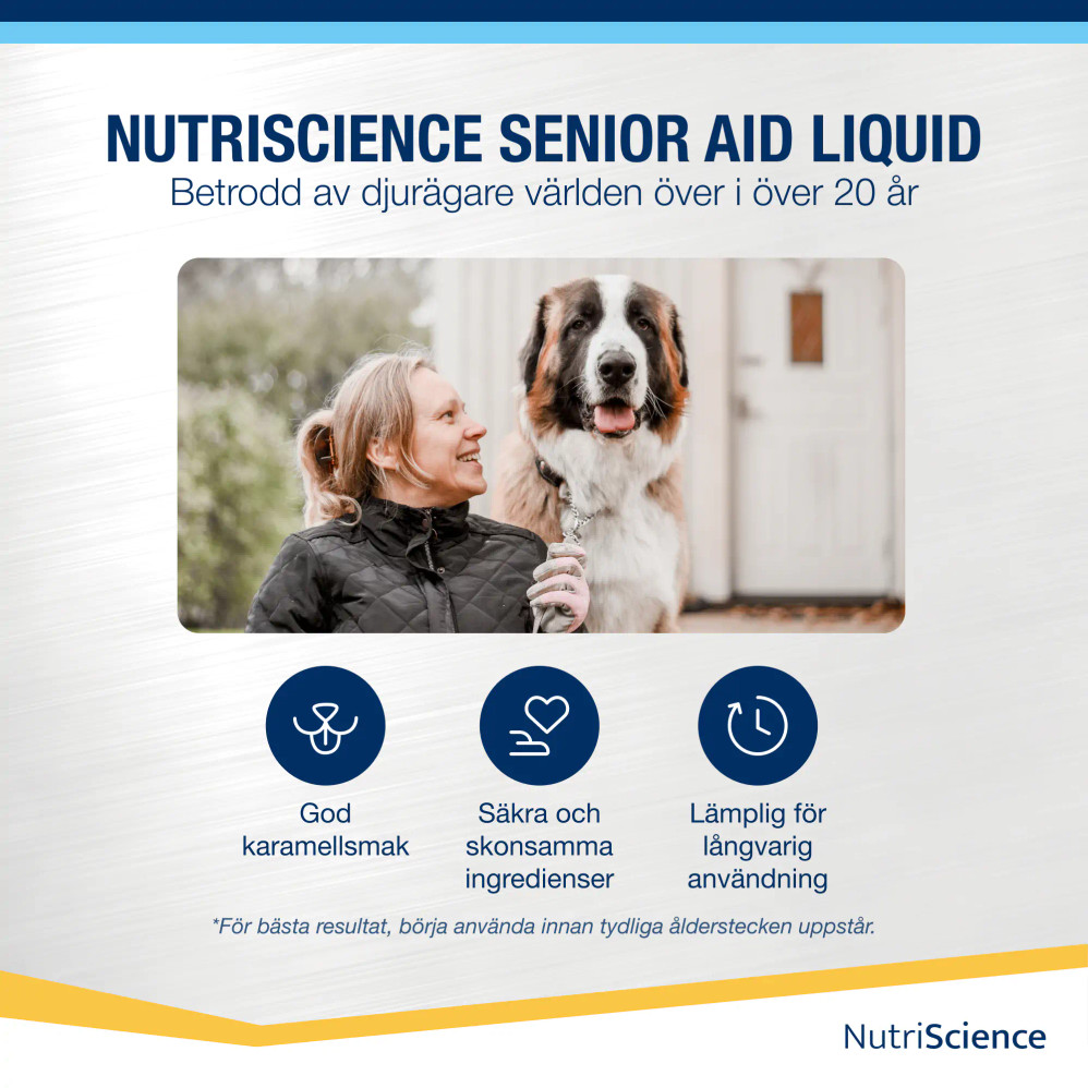Senior Aid, Hund