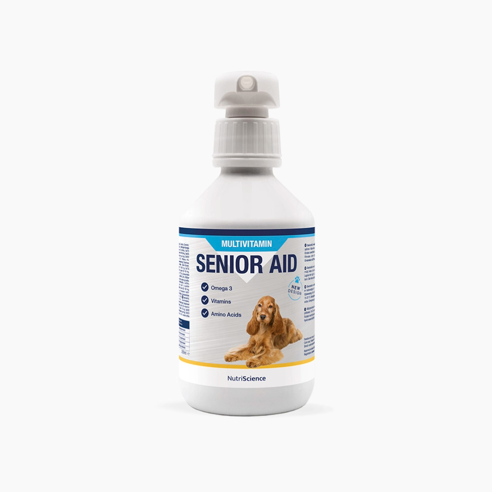 Senior Aid, Hund