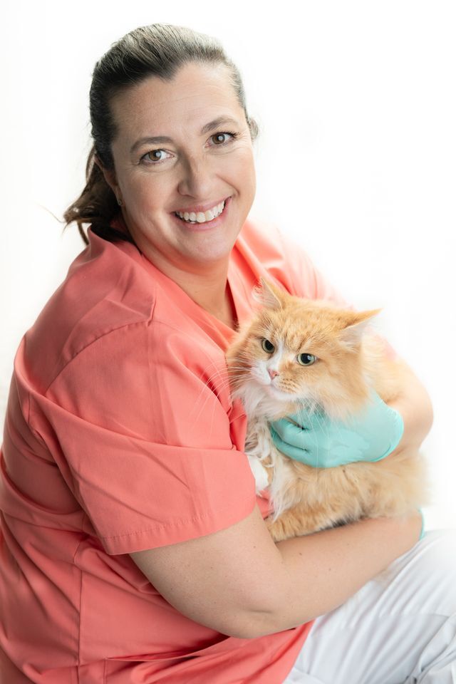 Veterinären Marie Jury håller i en orange katt
