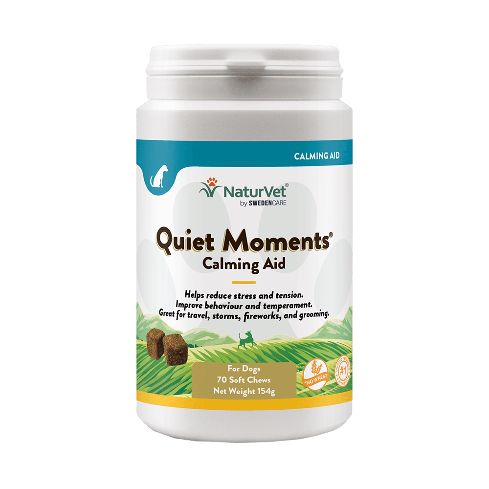Quiet Moments