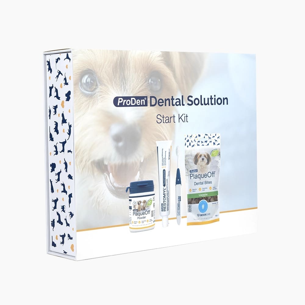 ProDen Dental Solution Start Kit Hund