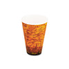 Dart Foam Hot Cold Cups  16oz  Brown Black  1000 Carton (DCC 16U16ESC)