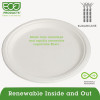 Eco-Products Renewable   Compostable Sugarcane Plates - 10   500 CT (ECP EP-P005)