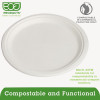 Eco-Products Renewable   Compostable Sugarcane Plates - 10   500 CT (ECP EP-P005)