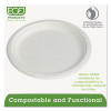 Eco-Products Renewable   Compostable Sugarcane Plates  9   500 Carton (ECP EP-P013)