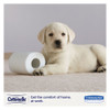 Cottonelle Clean Care Bathroom Tissue  Septic Safe  1-Ply  White  170 Sheets Roll  48 Rolls Carton (KCC 12456)
