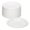 Tablemate Plastic Dinnerware  Plates  9  dia  White  125 Pack (TBL9644WH)