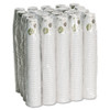 Dixie Pathways Paper Hot Cups  10 oz  1000 Carton (DXE2340PATH)