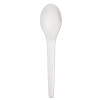 Eco-Products Plantware Compostable Cutlery  Spoon  6   Pearl White  50 Pack  20 Pack Carton (ECOEPS013)