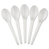 Eco-Products Plantware Compostable Cutlery  Spoon  6   Pearl White  50 Pack  20 Pack Carton (ECOEPS013)