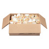 Coffee mate Liquid Coffee Creamer  Original  0 38 oz Mini Cups  360 Carton (NES35010)