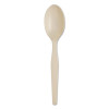 Dixie SmartStock Plastic Cutlery Refill  Spoons  6   Series-O Mediumweight Bio-Blend  Beige  40 Pack  24 Packs Carton (DXESSS11B)