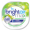 BRIGHT Air Max Odor Eliminator Air Freshener  Meadow Breeze  8 oz  6 Carton (BRI900438)