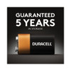 Duracell CopperTop Alkaline 9V Batteries  2 Pack (DURMN1604B2Z)