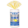 SCRUBS Stainless Steel Cleaner Towels  9 3 4 x 10 1 2  30 Canister (ITW91930)