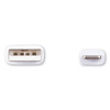 Innovera USB Lightning Cable  10 ft  White (IVR30022)