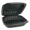 Pactiv EarthChoice SmartLock Microwavable Hinged Lid Containers  8 31 x 8 35 x 3 1  Black  200 Carton (PCTYCNB08010000)