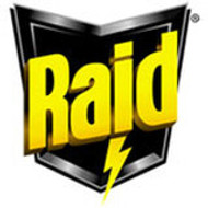 Raid