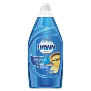 Dish Soaps & Detergents