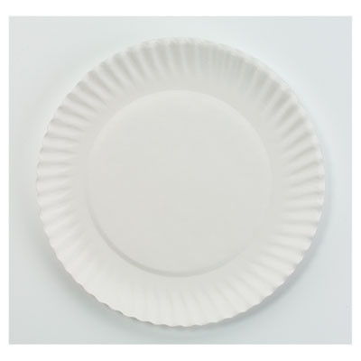 AJM Packaging Corporation White Paper Plates  6  dia  100 Pack  10 Packs Carton (AJMPP6GREWH)
