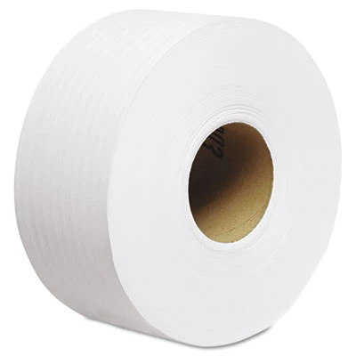 Scott Essential 100  Recycled Fiber JRT Bathroom Tissue  Septic Safe  2-Ply  White  1000 ft  12 Rolls Carton (KCC 67805)