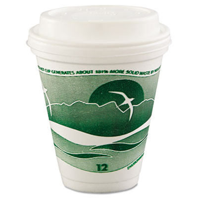 Dart Horizon Hot Cold Foam Drinking Cups  12oz  Green White  25 Bag  40 Bags Carton (DCC 12J16H)