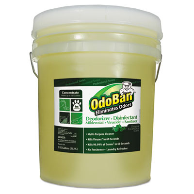 OdoBan Concentrated Odor Eliminator and Disinfectant  Eucalyptus  5 gal Pail (ODO9110625G)