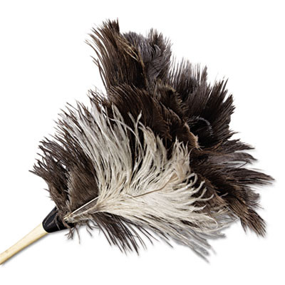 Boardwalk Professional Ostrich Feather Duster  7  Handle (UNS 13FD)