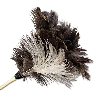 Boardwalk Professional Ostrich Feather Duster  7  Handle (UNS 13FD)