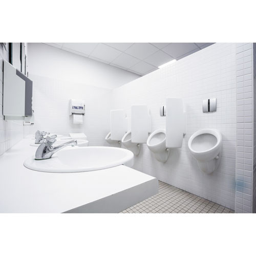 Clorox Urine Remover for Stains and Odors  32 oz Spray Bottle  9 Carton (CLO31036CT)