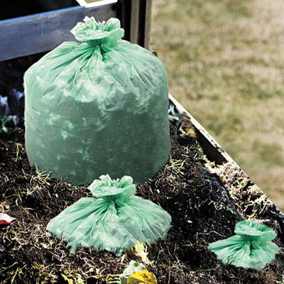 Stout by Envision EcoSafe-6400 Bags  48 gal  0 85 mil  42  x 48   Green  40 Box (STO E4248E85)