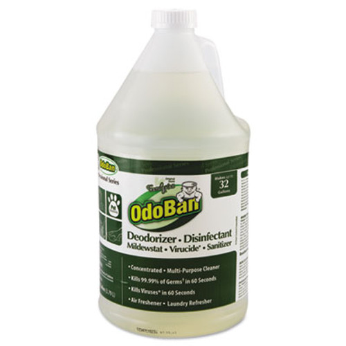 OdoBan Concentrated Odor Eliminator  Eucalyptus  1 gal Bottle  4 Carton (ODO911062G4)