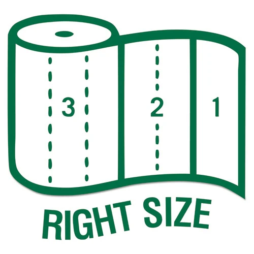 Seventh Generation 100  Recycled Paper Towel Rolls  2-Ply  11 x 5 4 Sheets  156 Sheets RL  32RL CT (SEV13739CT)
