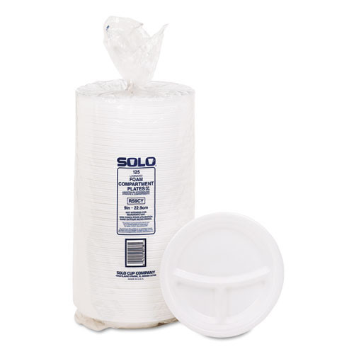Dart Mediumweight Foam Plates  9  dia  White  125 Pack (DCC9CPWQRPK)