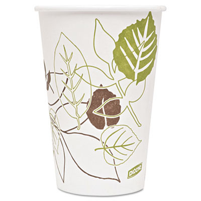 Dixie Pathways Paper Hot Cups  16oz  1000 Carton (DXE2346PATH)