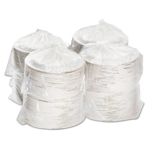 Dixie Pathways Soak-Proof Shield Mediumweight Paper Plates  8 1 2   Grn Burg  1000 Ct (DXEUX9PATH)