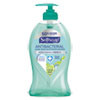 Softsoap Antibacterial Hand Soap  Fresh Citrus  11 1 4 oz Pump Bottle  6 Carton (CPC44572)