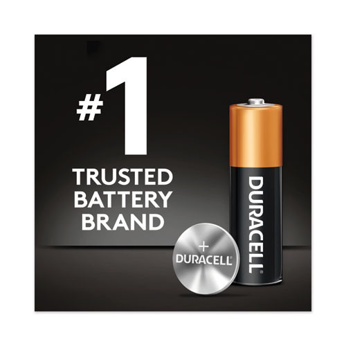 Duracell CopperTop Alkaline D Batteries  2 Pack (DURMN1300B2Z)