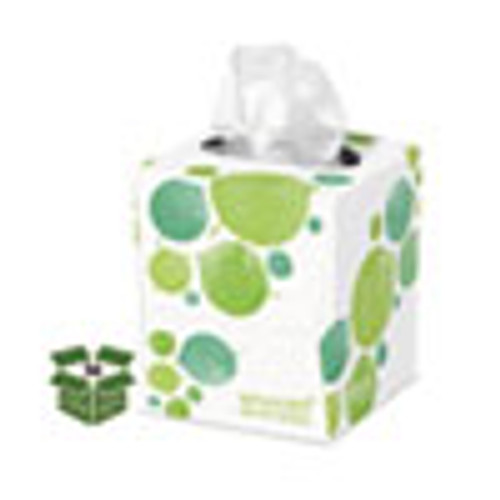 Seventh Generation 100  Recycled Facial Tissue  2-Ply  85 Sheets Box  36 Boxes Carton (SEV13719CT)