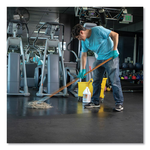 Simple Green d Pro 3 Plus Antibacterial Concentrate  Herbal  1 gal Bottle  6 Carton (SMP01001)