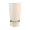 World Centric NoTree Paper Hot Cups  20 oz  Natural  1 000 Carton (WORCUSU20)