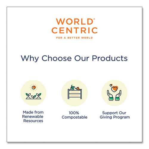 World Centric Fiber Hinged Containers  3 Compartments  9 x 9 x 3  Natural  300 Carton (WORTOSCU9T)