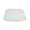 World Centric Fiber Bento Box Container Lids  Five Compartments  12 1 x 9 8 x 0 8  Clear  300 Carton (WORTRLCSBB)