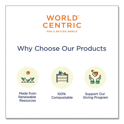 World Centric Fiber Trays  PLA Lined  PFAS Free  9 1 x 7 1 x 0 7  Natural  500 Carton (WORTRSC4SLLF)