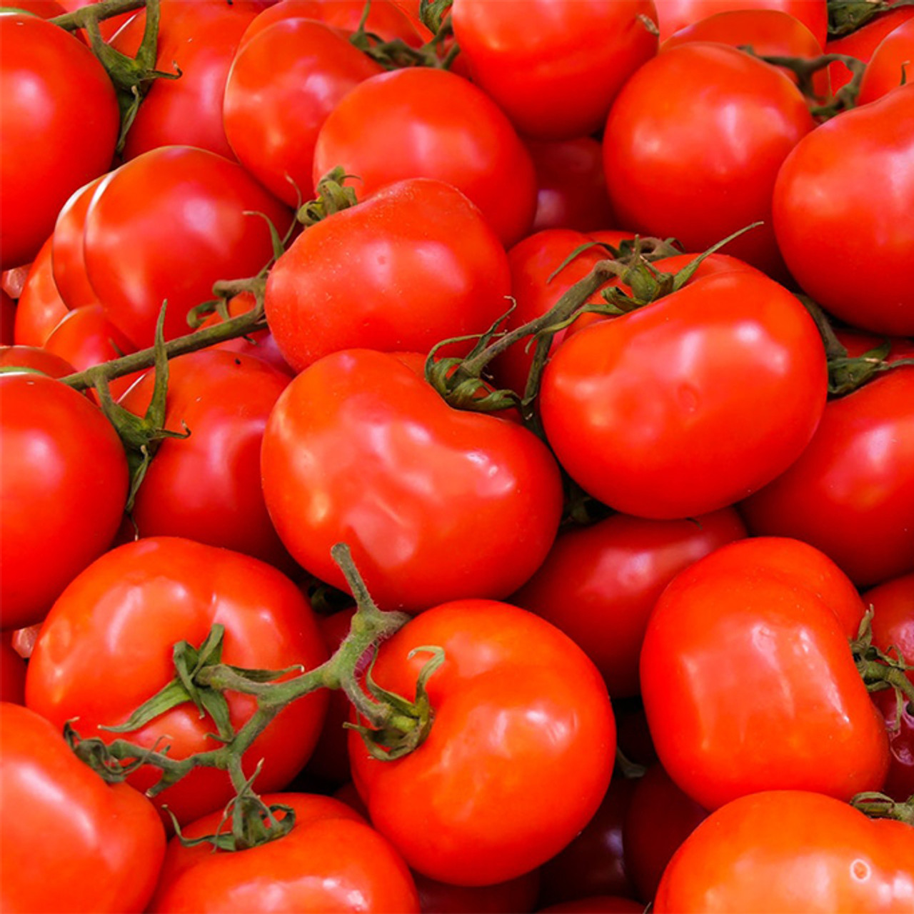 buy fresh tomatoes online