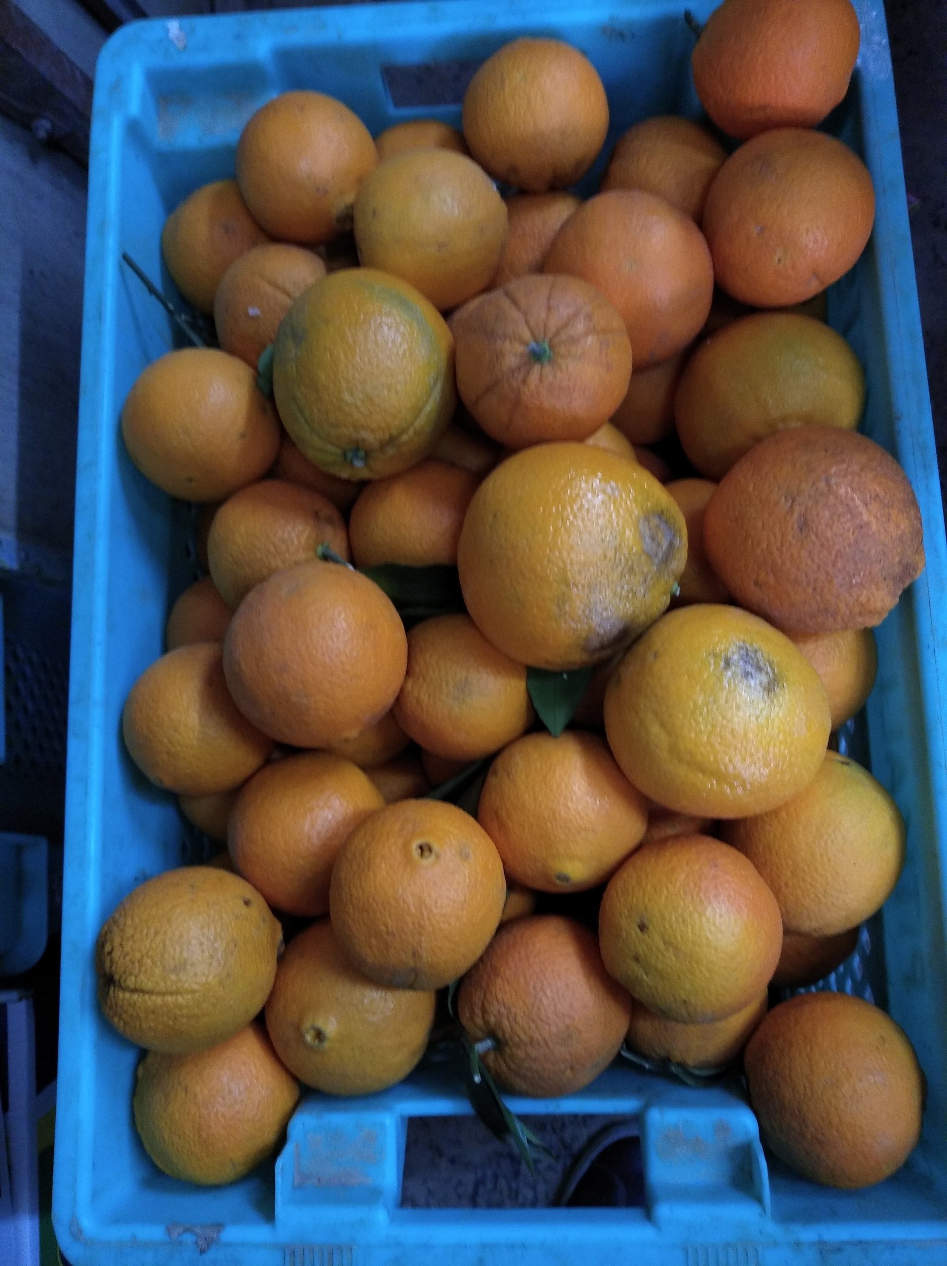 Malta Farms Buy and Shop fresh fruit & vegetables direct from the farmer