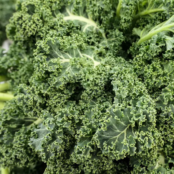 Kale per bunch buy fresh fruit and vegetables online Malta